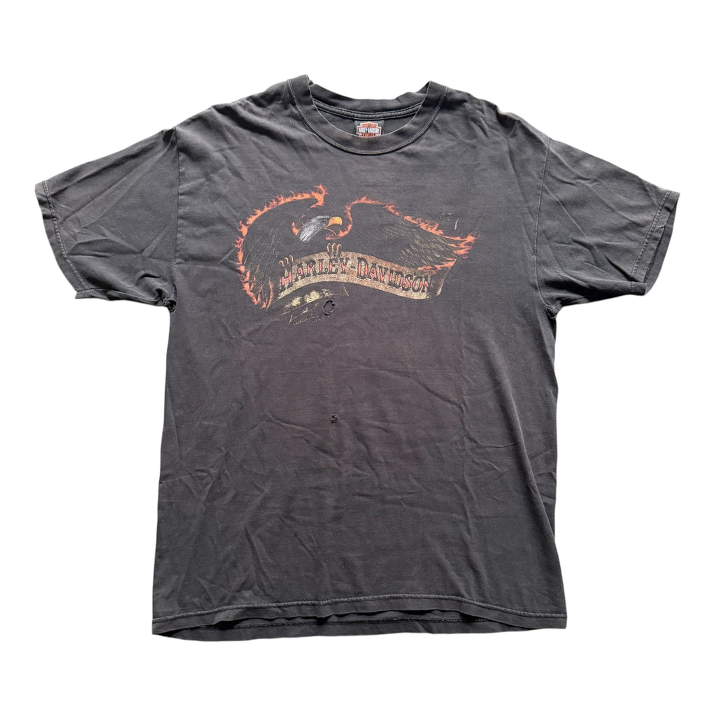 Harley Davidson "Beartooth" Tee