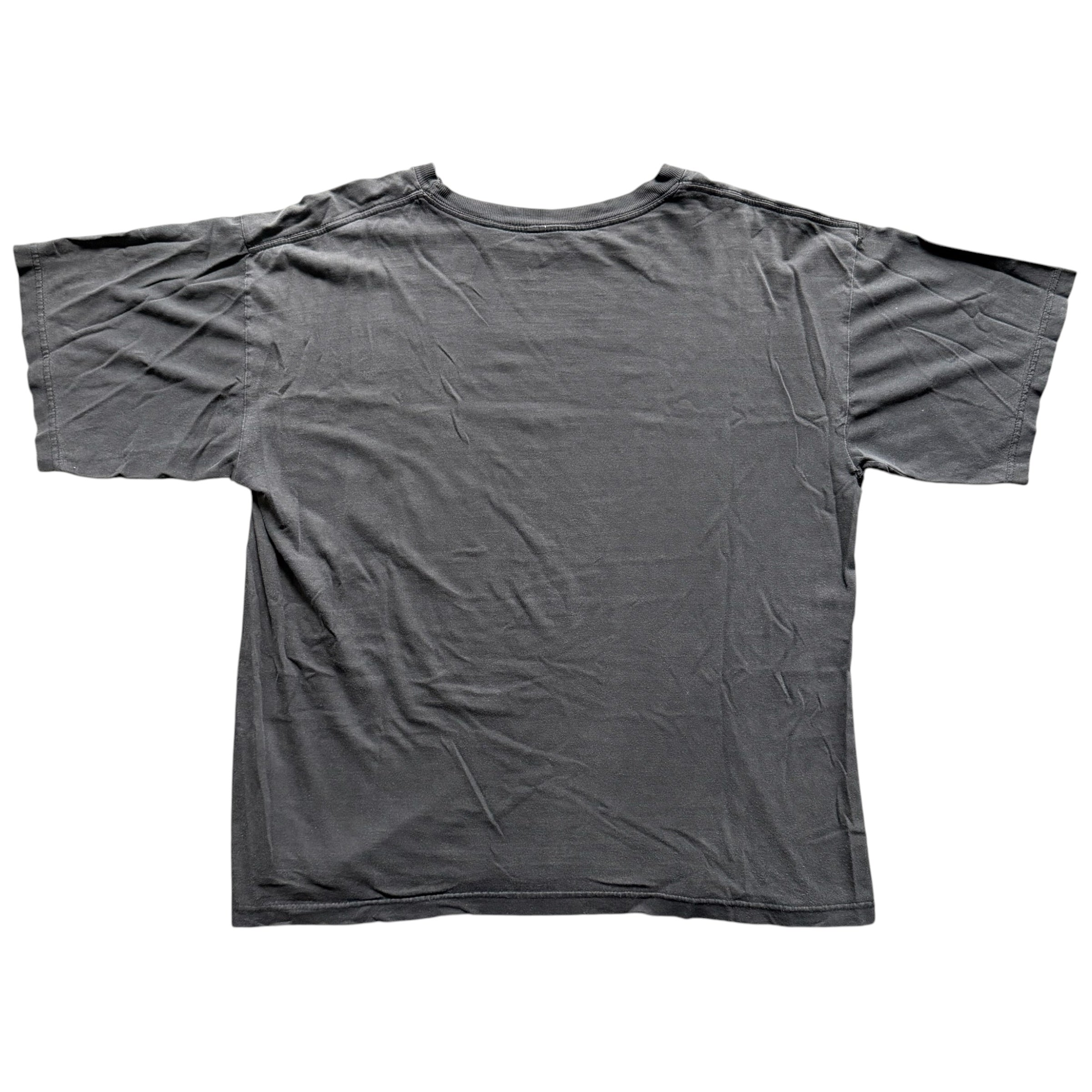 “Spirit Of The Wild” Buffalo Skull Tee