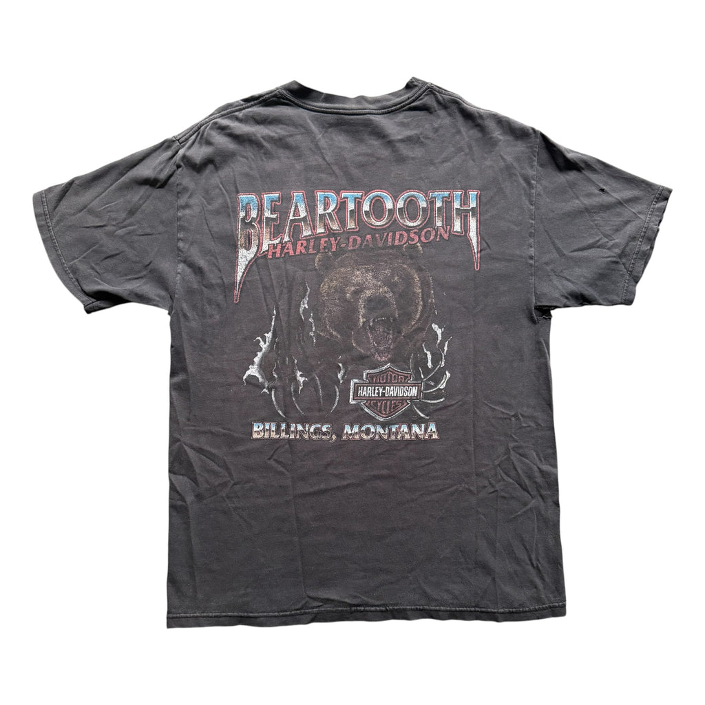 Harley Davidson "Beartooth" Tee