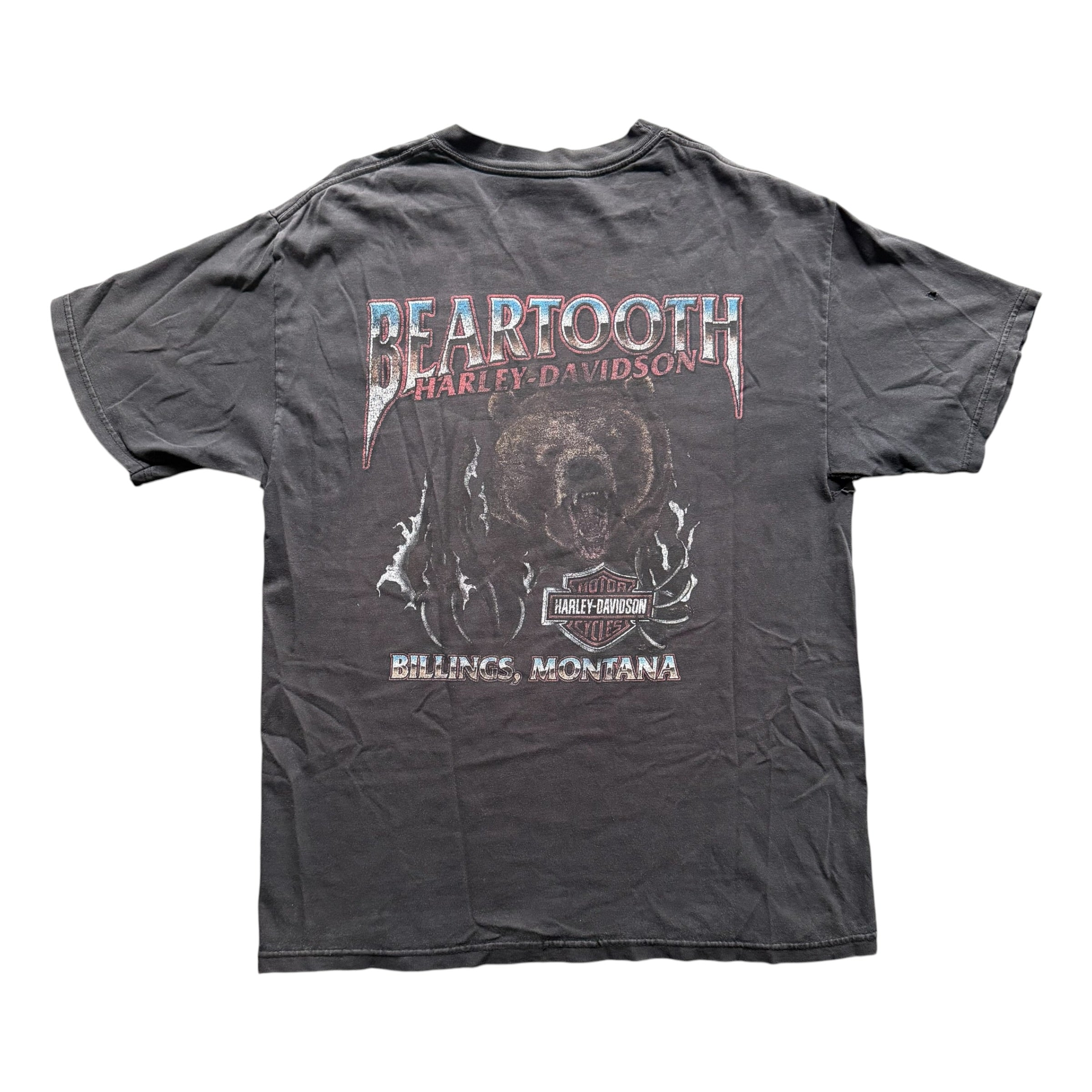 Harley Davidson "Beartooth" Tee